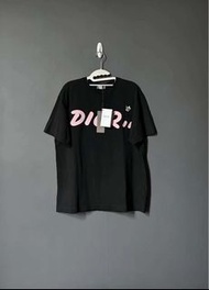 Dior kaws 短袖