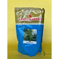 Smooth Green Okra Seeds (1 kilo) - Kaneko Seeds
