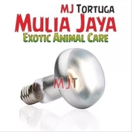 75w Intense Basking Spot ExoCare