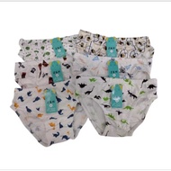 Cotton soft brief for kids boy garterize printed