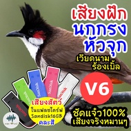 เสียงนกกรงหัวจุกV6 นกเวียดนาม เมม/แฟลชไดร์ฟเสียงฝึกนกกรงหัวจุก มีเก็บเงินปลายทาง เสียงจริง ชัดแจ๋ว 100% ไม่มีโฆษณาแทรก (MP3 เสียงต่อสัตว์)