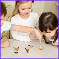 Animal Figurines Set Realistic Kids Animal Figurines Animal Life Cycle Toys Cute Learning Toys for H