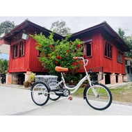 BASIKAL TIGA RODA / BASIKAL 20inch / BASIKAL BUDAK / BASIKAL DEWASA / size 20 inch bicycle / Bicycle