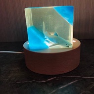 鯊魚Led小桌燈