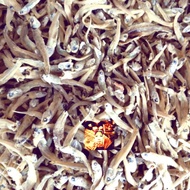 Bilis Mata Biru Langkawi