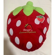 Cameron Highland Strawberry Pillow/Cushion🍓