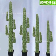ins Artificial Wind Bonsai Scale Internet Celebrity Mexican Green Plant Cactus Large Fake Cactus Lan