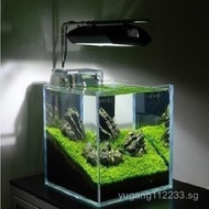 【In stock】Designer Aquarium Fish Tank complete / Mini Aquarium Betta Tank House Betta House Double /