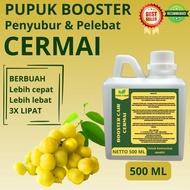 Pupuk Pelebat Cermai / Pupuk Buah Cermai / Pupuk Booster Cermai / Pupuk Cermai
