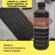 politur plitur kayu warna teak walnut light walnut akasia coklat jati dan mahoni cat air waterbased