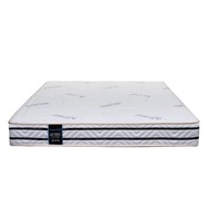 Performance Fibre Star Anti-Static 8" Natural Coconut Fibre Mattress with LATEX top 单人双人椰丝乳胶床褥床垫 kelapa sabut+getah tila