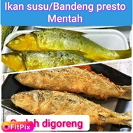 IKAN BANDENG PRESTO BUMBU KOMPLITE TINGGAL DIGORENG SAHAJA