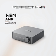 WIIM AMP Amplifiers for Speaker
