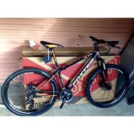 Brand new mountain Foxter bike