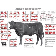 Decor Print Store Laminated Poster x Angus Beef Cuts Butcher Charts  How To Cook Photo Artwork for K