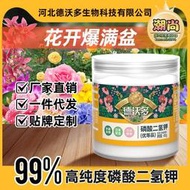 【樂樂屋】德沃多月季花專用水溶肥磷酸二氫鉀催花有機 肥料緩釋復合肥營養液
