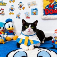 寵物功能性圍巾