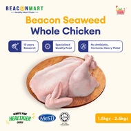 [Beacon Mart] HALAL Seaweed Whole Chicken Fresh Frozen | 1.5KG - 2.5KG | Ayam Segar 全鸡