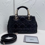 Dior 手柄D-joy 黛妃包 9新配件塵袋