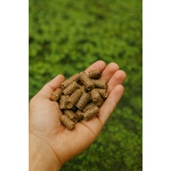 Azolla Special Organic Fertilizer 1 Kg - Natural Fertilizer for Soil & Plant Fertilizer