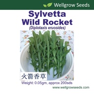 Wild Rocket Sylvetta Seeds (0.05gm, approx 200 sds) 火箭菜 Arugula Rocket Salad Gargil  Herb Seeds Well