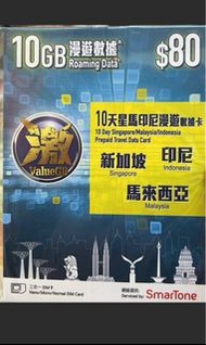 馬來西亞 新加坡 印尼 SIM card 電話卡 10日