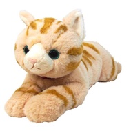 Sun Lemon Knees Cat Brown M 25x39x12cm Plush