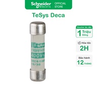 (SE) NFC tube fuse DF2CA02 Schneider TeSys GS cylindrical 10mm x 38mm, fuse type aM, 500VAC, 2A