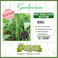 5 Benih Baby Buncis Kenya Buncis Biji Hitam Perdu Non Rambat Tanaman Sayur Paktani