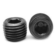Socket Head Pipe Plug | Size: M10, M12, M14, M16, M18, M20, M22, M24, M30, x 1.5