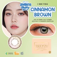 I See You Cinnamon Brown Monthly Softlens Warna Bulanan