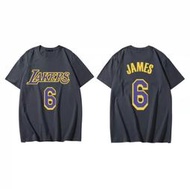 🏀詹皇LeBron James詹姆士短袖棉T恤上衣🏀NBA湖人隊Adidas愛迪達運動籃球衣服T-shirt男女13