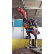 ayam ganoi ori import