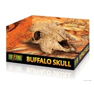 Exo Terra Hiding Reptile BUFFALO Skull Exoterra - Gecko Snake Cage