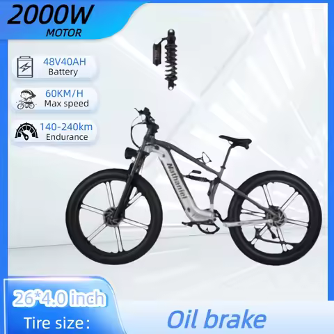 Nathaniel SYR09 High-Speed Electric Bicycle 2000W Motor 48V 40Ah Battery 60km/h Shock Absorber Syste