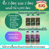 โปร 3 แถม 3 Cabmax แคลเซียมและโบรอนเข้มข้น + Vamax ธาตุอาหารรวมเข้มข้น
