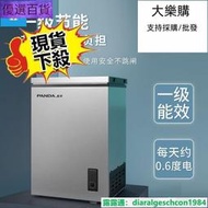 十年質保冷凍櫃 熊貓特價冰櫃小型家用小冰櫃冷凍冷藏兩用冷凍櫃省電大容量迷你