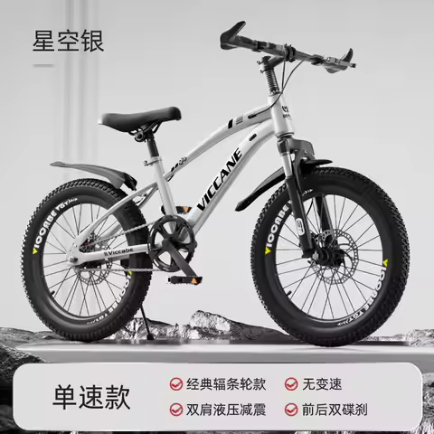 Kids' 20-inch Geared Mountain Bike for 7-10-13Y Boys, Older Kids/Primary Students