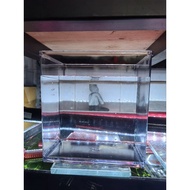 Plastic betta guppy tank