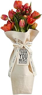 Santa Barbara Design Studio Gift Bag Hold Everything - Waterproof Lined 100% Cotton Canvas Bouquet Bag, 7 x 11-Inch, Thank You