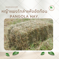 หญ้าแพงโกล่าแห้งอัดก้อน เกรด A พรีเมียม น้ำหนัก10-15 กิโลกรัม