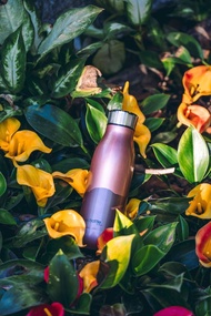 01LIV不銹鋼雙層保溫杯 500ml節日香槟金真空保溫瓶泡茶杯茶濾