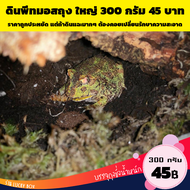 ดินเลี้ยงกบ Horned Frog ฮอร์นฟรอก Pacman Frog ดินพีทมอส 1 ลิตร 45 บาท รุ่นประหยัด Vivarium Exotic pe