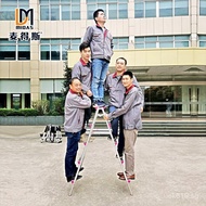 Portable and Lightweight Folding Ladder Household Ladder Thickened Ladder Multi-functional Ladder Te