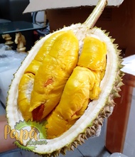 durian fresh musang king - utuh bulat ukuran 1.5 - 2.5 kiloan