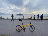 Dahon 20寸折疊單車