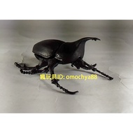 Crazy Toys Gashapon/Beetle God Japanese Beetle (Stag Beetle/Unicorn) Insect (X-9 ET)