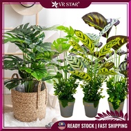 VRstar Artificial Mini Plant Pot 60cm Home Garden Office Bonsai Pot Indoor Outdoor Plant Gubahan Pok