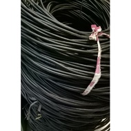 Twisted Cable SR 2 x 16 2 x 16mm 2x16 Cable SR 2 x 16 2 x 16mm 2x16 NFA2X Cable 2 x 16 2 x 16mm 2x16
