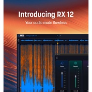 iZotope - RX 12 Audio Editor Advanced v12 [ Window ] [ Mac ]
